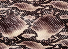 натуральная кожа питона