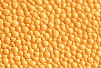 натуральная кожа ската