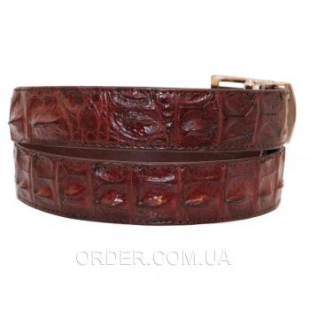 Мужской ремень из кожи крокодила (105 ALB-B Brown)